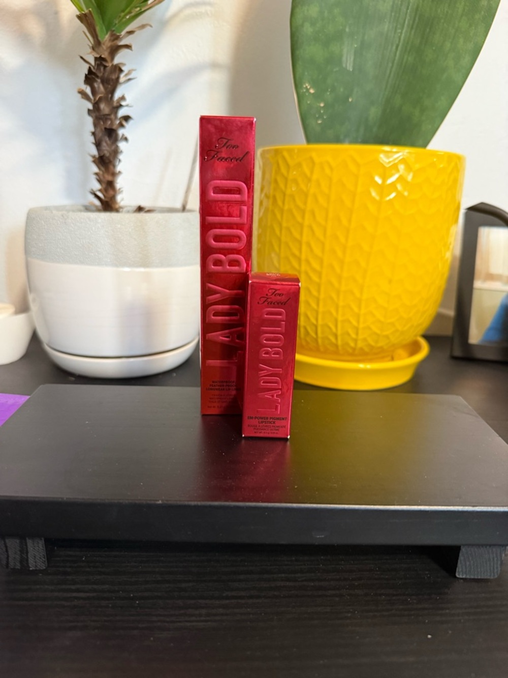 Too Faced Lady Bold Lipstick and lipliner Duo full size NIB